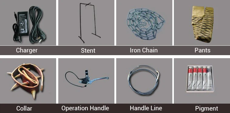 Dinosaur Accessories